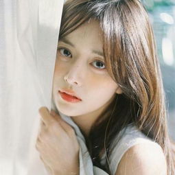 组装机械破城龙